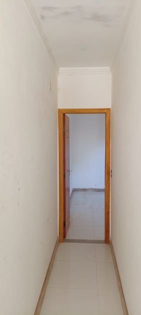 CASA P ECOLOGICO 11