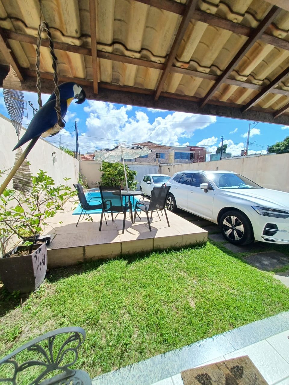 oportunidade (11)